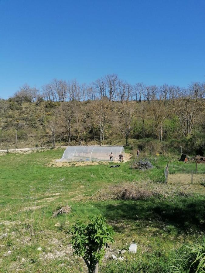 Terres De Barrejat Villa Cazals-des-Bayles Dış mekan fotoğraf